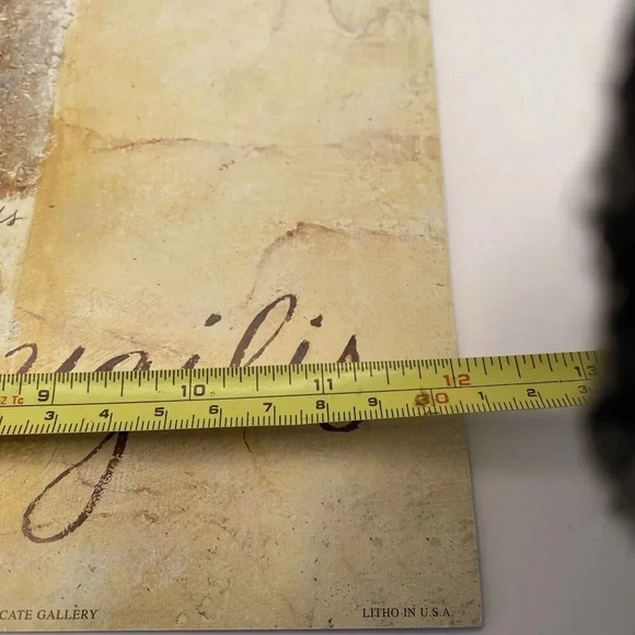 Lot Of 4 Shell‎ Art Prints 12x12 Caribbean, Japan, Gulf of Mexico, Indo Pacific - Picture 8 of 10